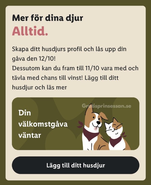 Gratis gåva till ditt husdjur från Lidl