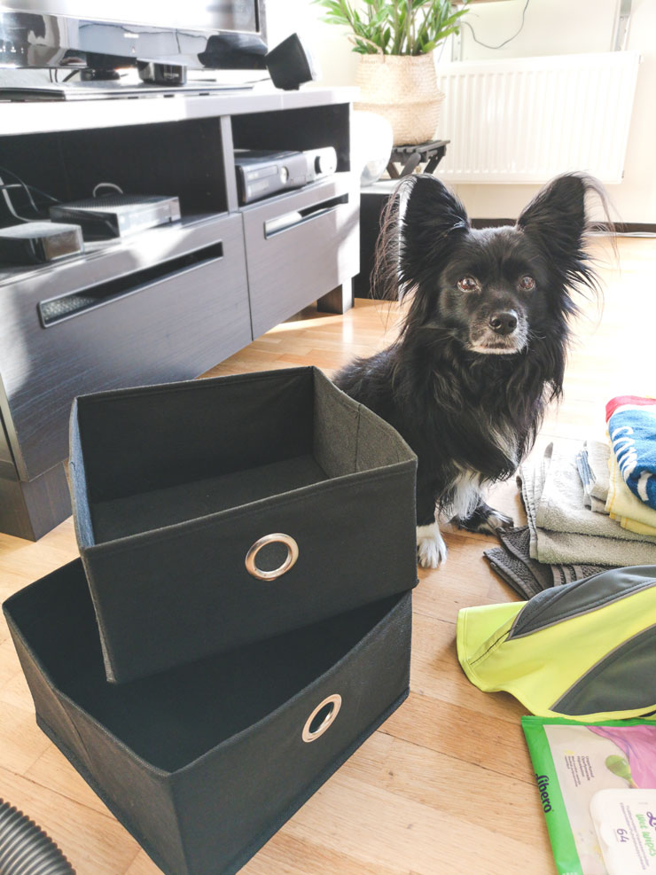 vecka 9 - organisera husdjurens saker - lådor