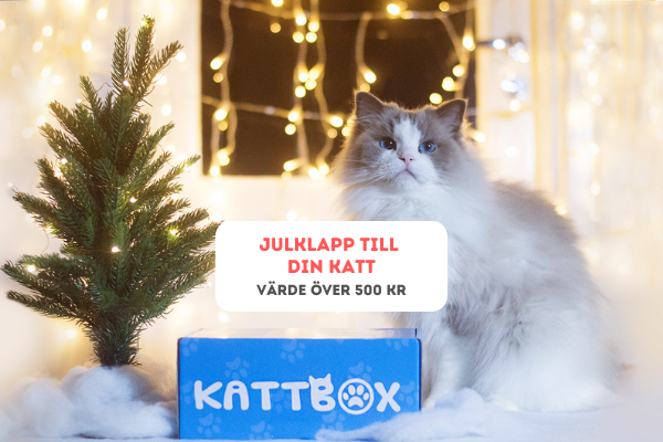 kattbox julbox